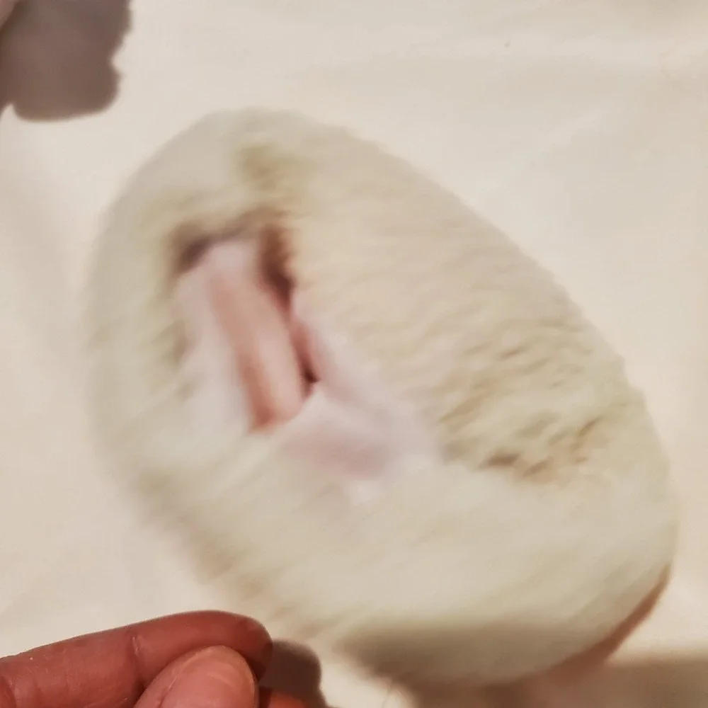 ZHU ZHU PETS ORANGE BED